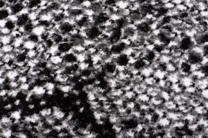 Teppich Dream Modern Kurzflor Schwarz Grau Schlange Design