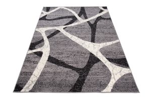 Teppich Dream Grau Schwarz Modern Spinnennetz