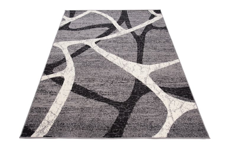 Teppich Dream Grau Schwarz Modern Spinnennetz